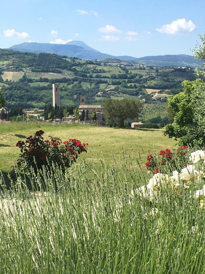 Al Castello Villa San Severino Marche Exteriör bild